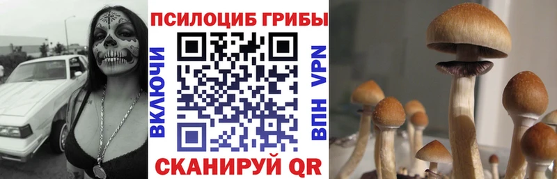 Псилоцибиновые грибы MAGIC MUSHROOMS  цены   ссылка на мегу вход  Тырныауз 