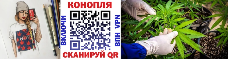 Бошки Шишки MAZAR Тырныауз